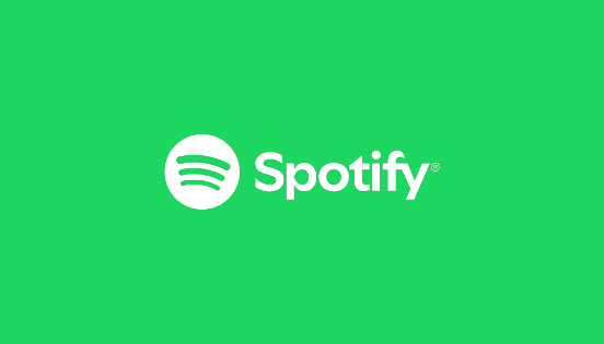 Spotify  Profile Picture