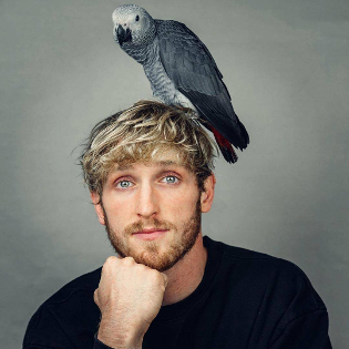 صورة Logan Paul الشخصية | RvewX